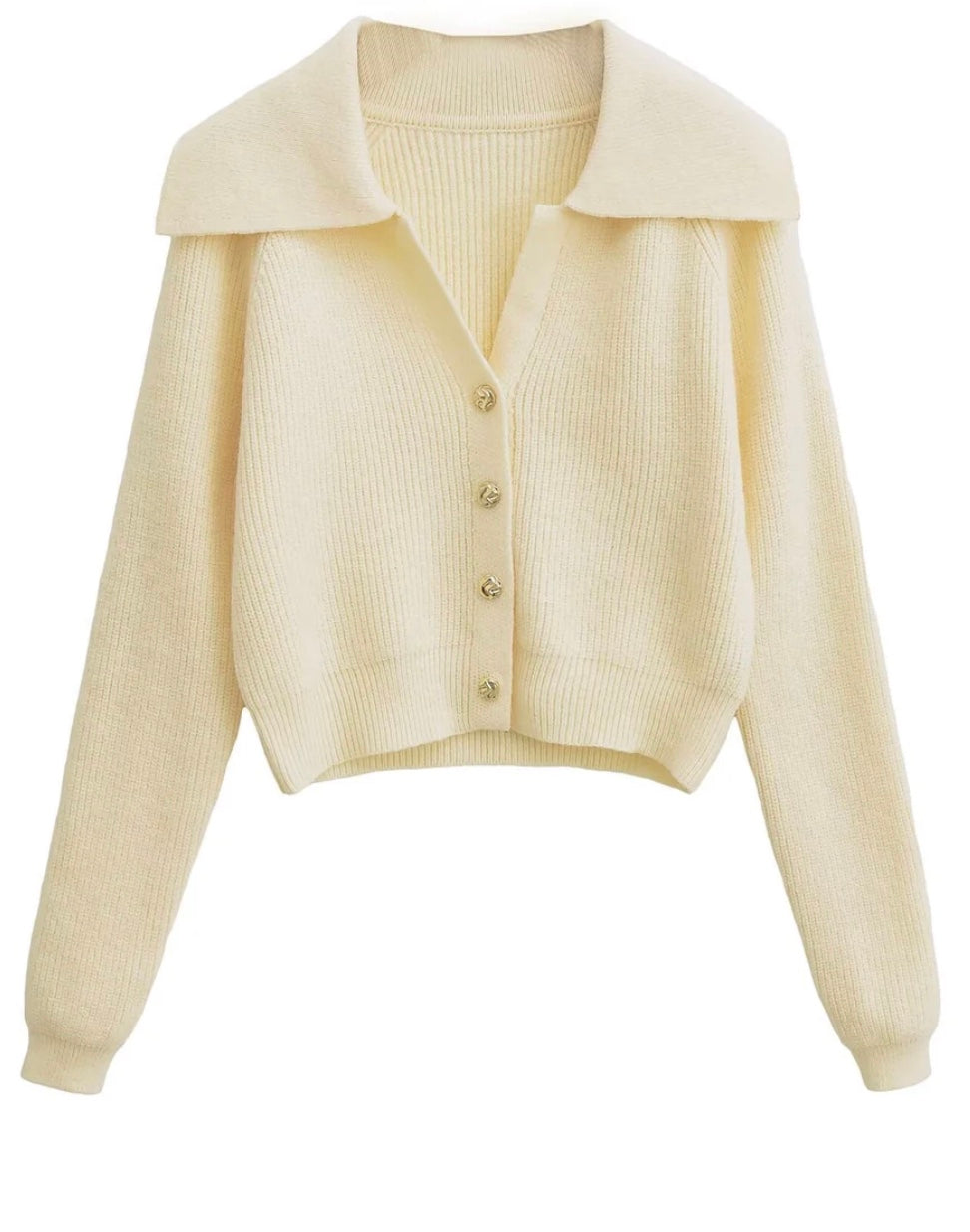 Elegant Collared Button Knit Cardigan